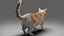Fur Calico Cat V02 Sin aparejo