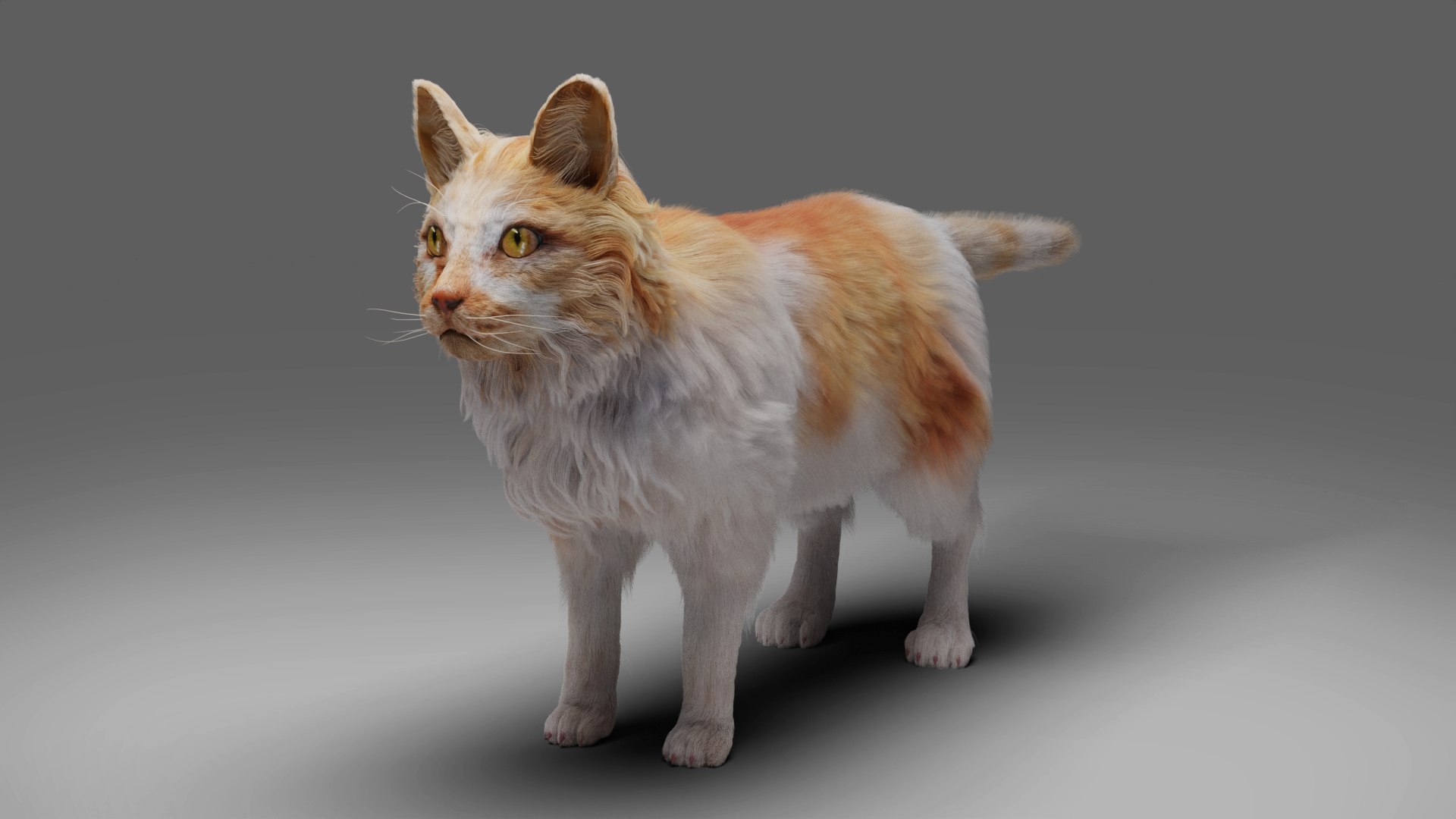 Fur Calico Cat V02 No Rigged 3D https://p.turbosquid.com/ts-thumb/50/OxdphL/TJ/03/jpg/1657091148/1920x1080/fit_q87/4fc3cbd2bfa6210b98855553db25a18a34414b1f/03.jpg
