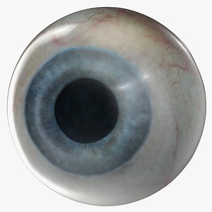 human eye 3D model