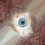 Human Eye