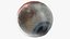 Human Eye