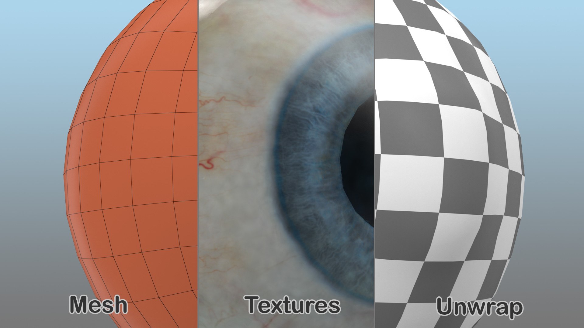 human eye 3D model https://p.turbosquid.com/ts-thumb/50/P9AeNA/qNVKHK3r/humaneyevray3dmodel018/jpg/1572418011/1920x1080/fit_q87/f23ab35b1a36b43c2bd561e29d765781d177019c/humaneyevray3dmodel018.jpg