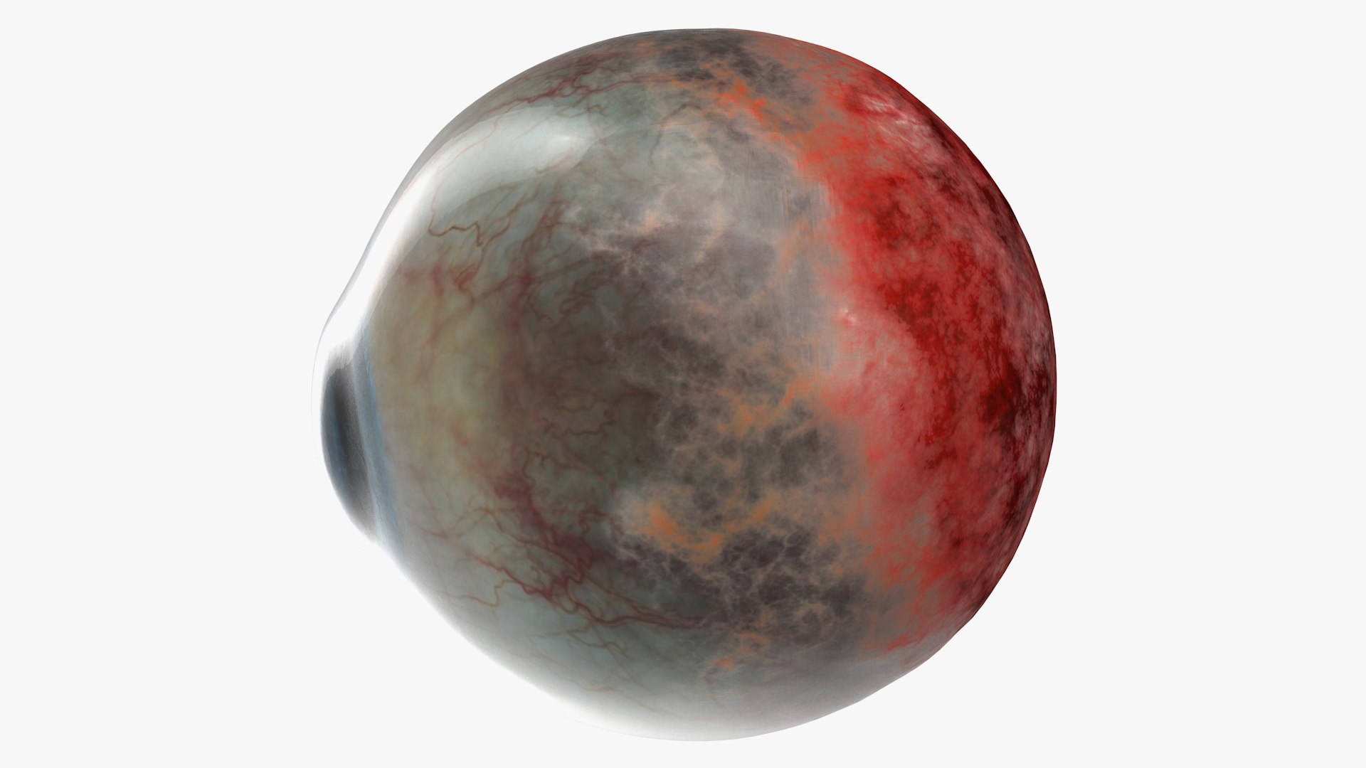 human eye 3D model https://p.turbosquid.com/ts-thumb/50/P9AeNA/sfO4aB32/humaneyevray3dmodel003/jpg/1572417947/1920x1080/fit_q87/03a674d8000f67220a575e93eda19f9aed484443/humaneyevray3dmodel003.jpg