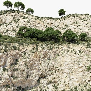 Semi Desert Cliff Collection PBR Scans model