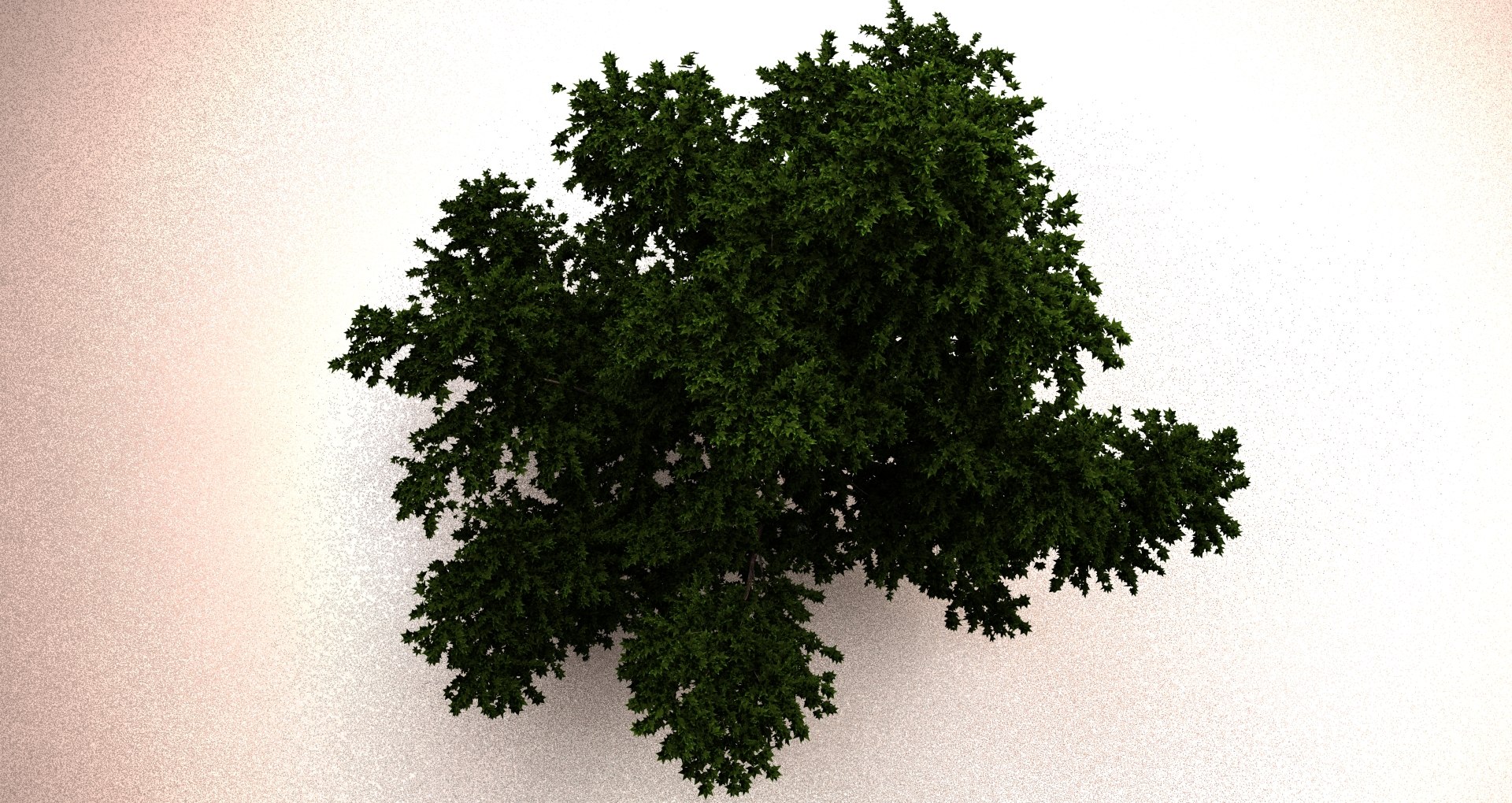 large maple 3ds https://p.turbosquid.com/ts-thumb/50/jUJjY1/04FwGKle/rr/jpg/1402604616/1920x1080/fit_q87/5f8a51172d8297f926e1f867355cc5abe4c51df8/rr.jpg