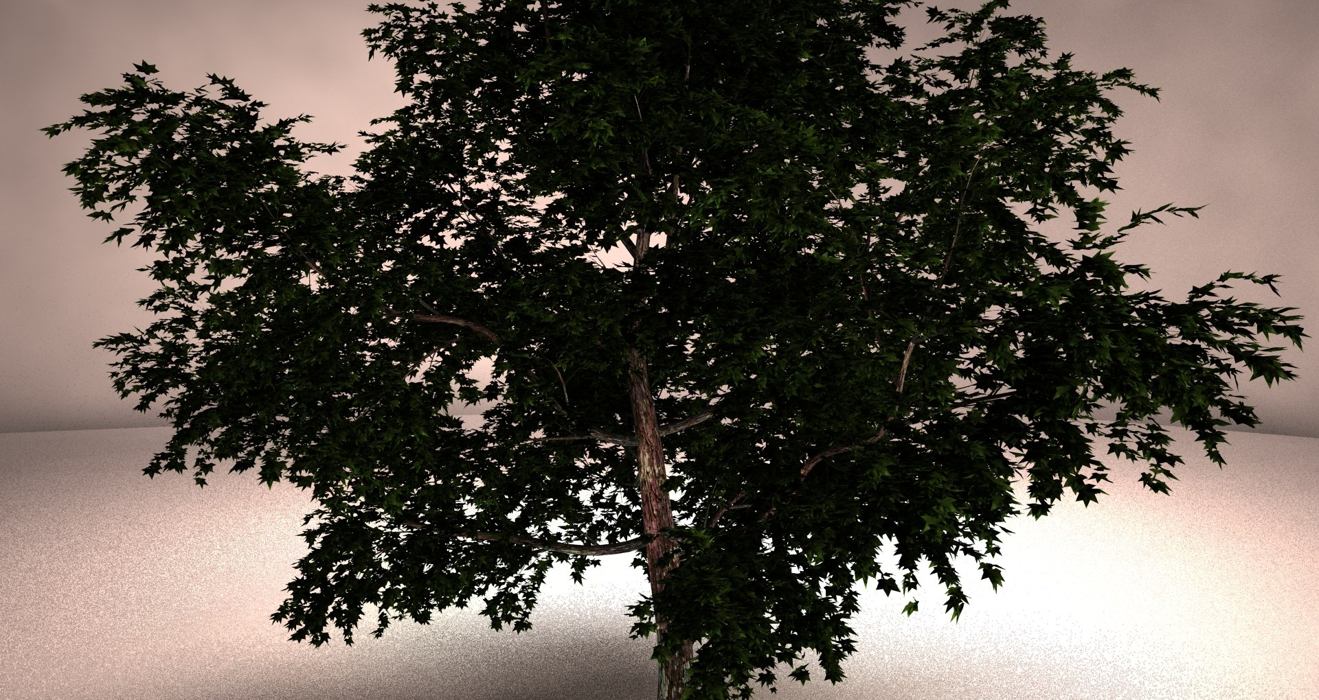 large maple 3ds https://p.turbosquid.com/ts-thumb/50/jUJjY1/0NKe33B6/5l/jpg/1402604610/1920x1080/fit_q87/f9bbb1569d35570cdfbfbdf01815815696a4f621/5l.jpg