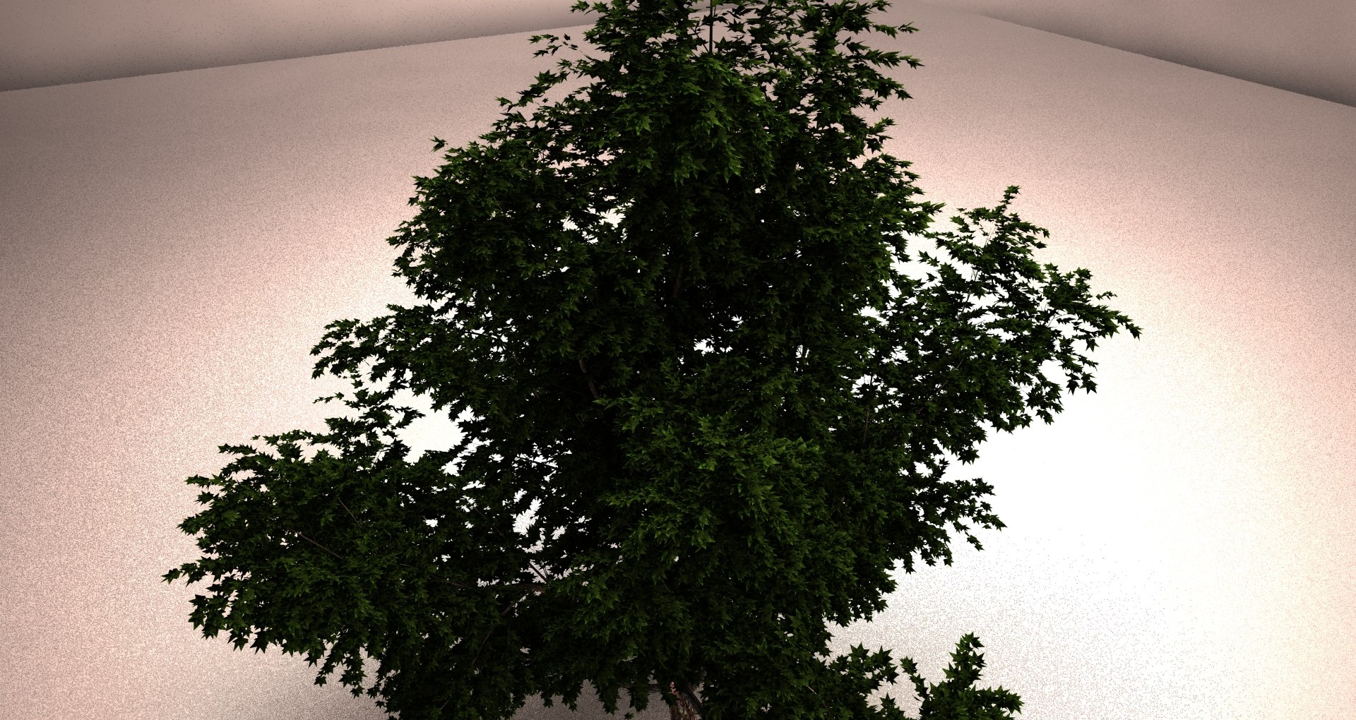 large maple 3ds https://p.turbosquid.com/ts-thumb/50/jUJjY1/XJo5LGzc/df/jpg/1402604610/1920x1080/fit_q87/2afa60c943b0c2056ac7aaa99d966f91c67d19fe/df.jpg