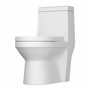 One piece EWC toilet