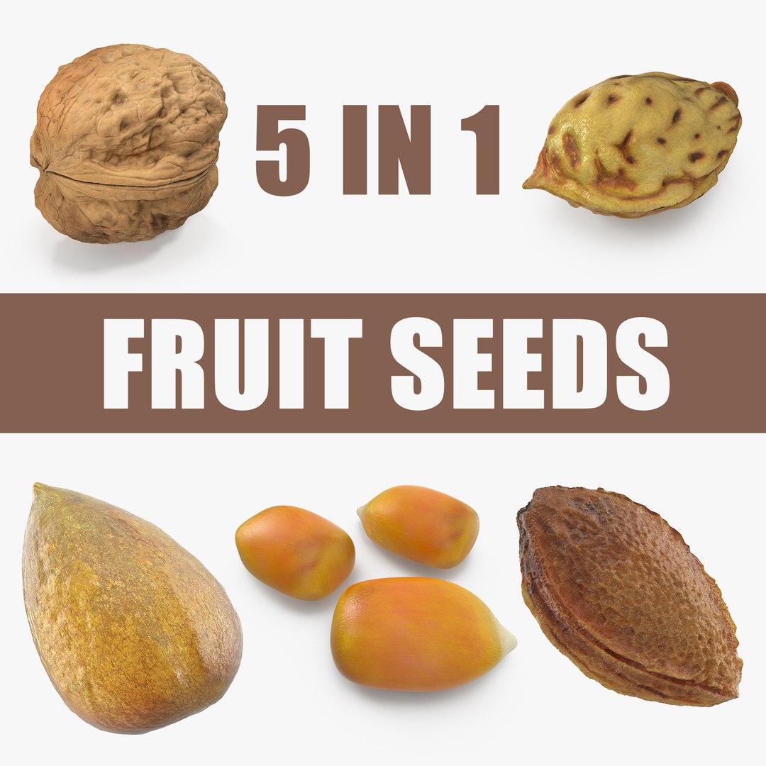 Fruit Seeds 3D Models Collection 3D model preview