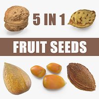 Fruit Seeds 3D Models Collection