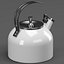 BLUSH tea kettle