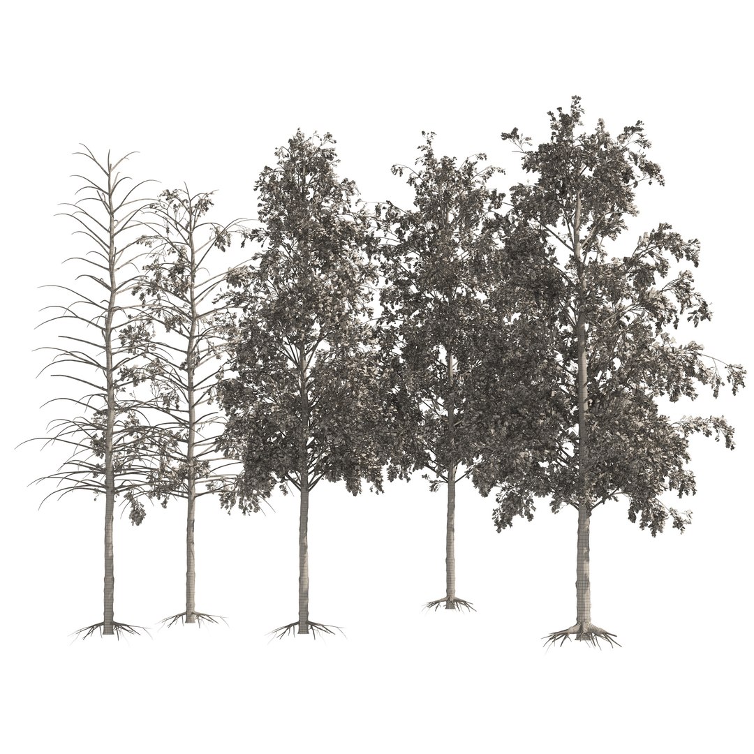 Fall green and winter quaking aspen trees model https://p.turbosquid.com/ts-thumb/50/nVbHlM/dT/wire/jpg/1663632946/1920x1080/fit_q87/f126b4fddc275571df9068a4c76125787150c54a/wire.jpg