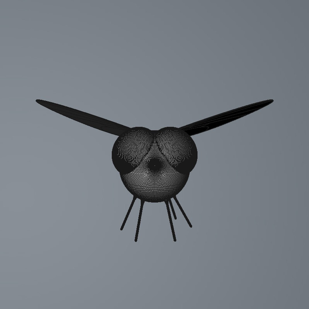 cartoon fly 3D https://p.turbosquid.com/ts-thumb/51/3i0lvn/AbKa1QAQ/1/jpg/1548419772/1920x1080/fit_q87/0b1f294e0b63df8a556da485bded79630b322e27/1.jpg
