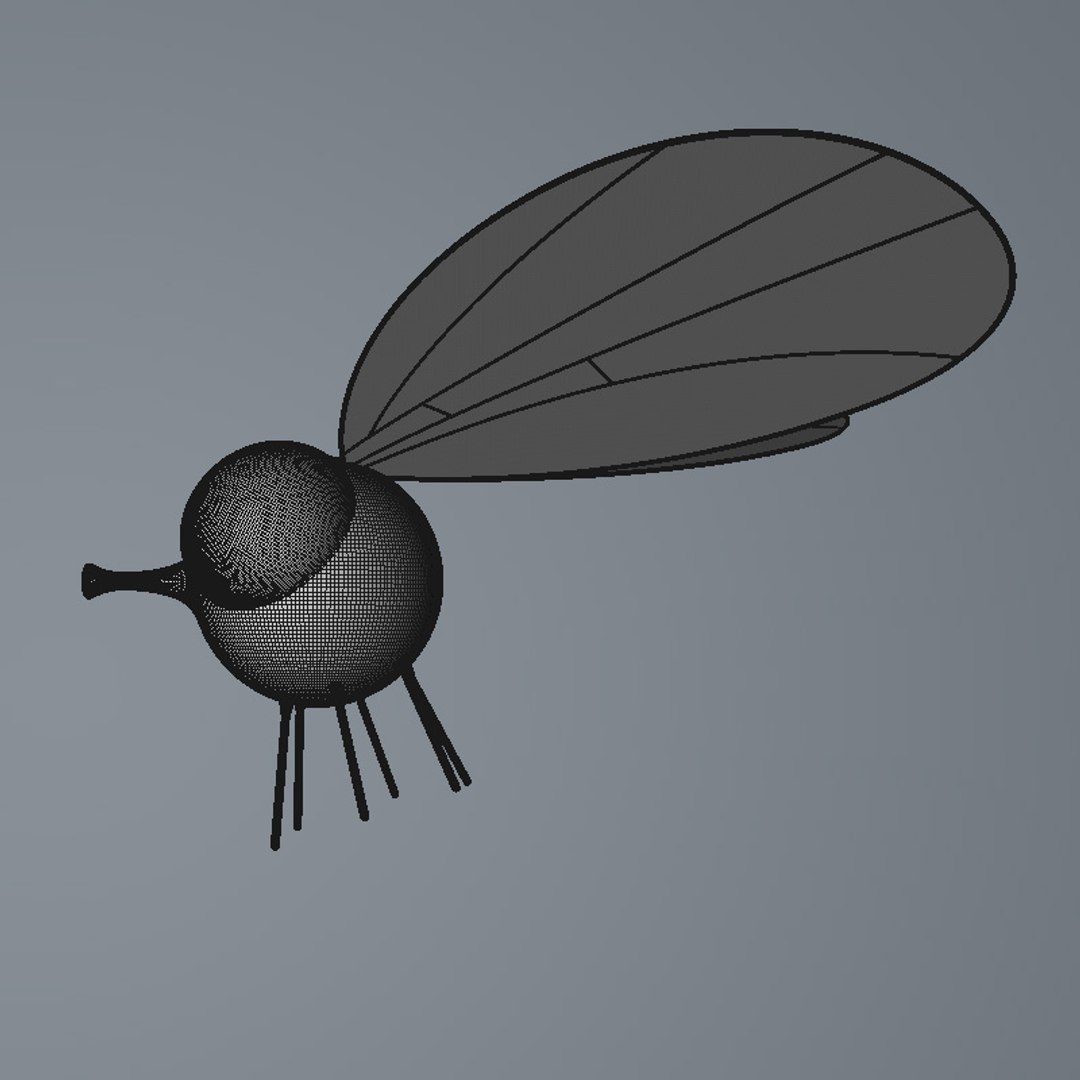 cartoon fly 3D https://p.turbosquid.com/ts-thumb/51/3i0lvn/ZWr2GUky/4/jpg/1548419799/1920x1080/fit_q87/05b4bfa42191e8e738de79ccd0aa303772213e2a/4.jpg