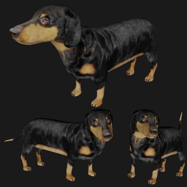 Dog Blender Models for Download TurboSquid