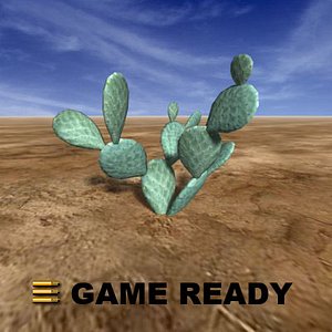 Low Poly - Cactus, beaver tail