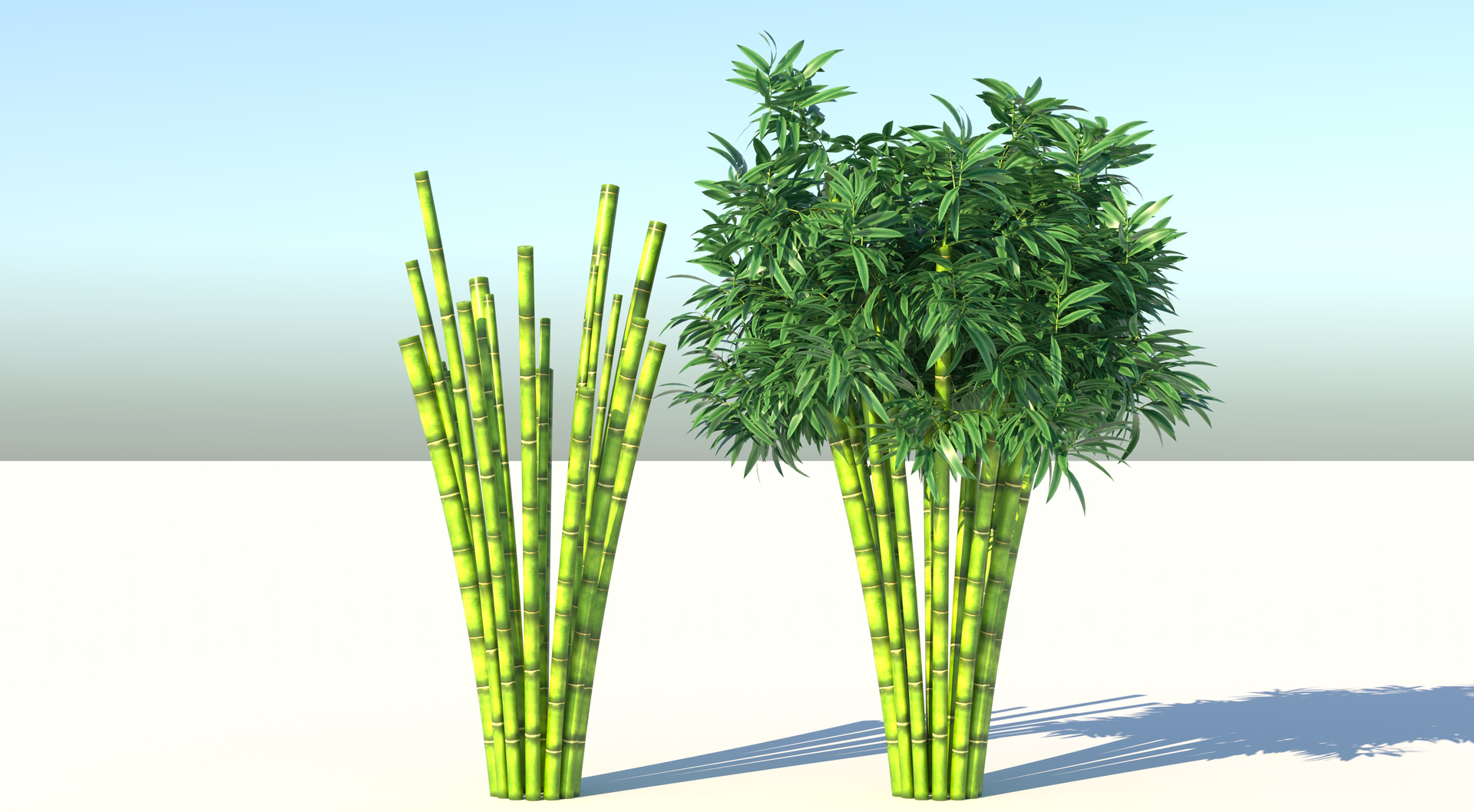 Bamboo Pavilion 3d Sketchup Model