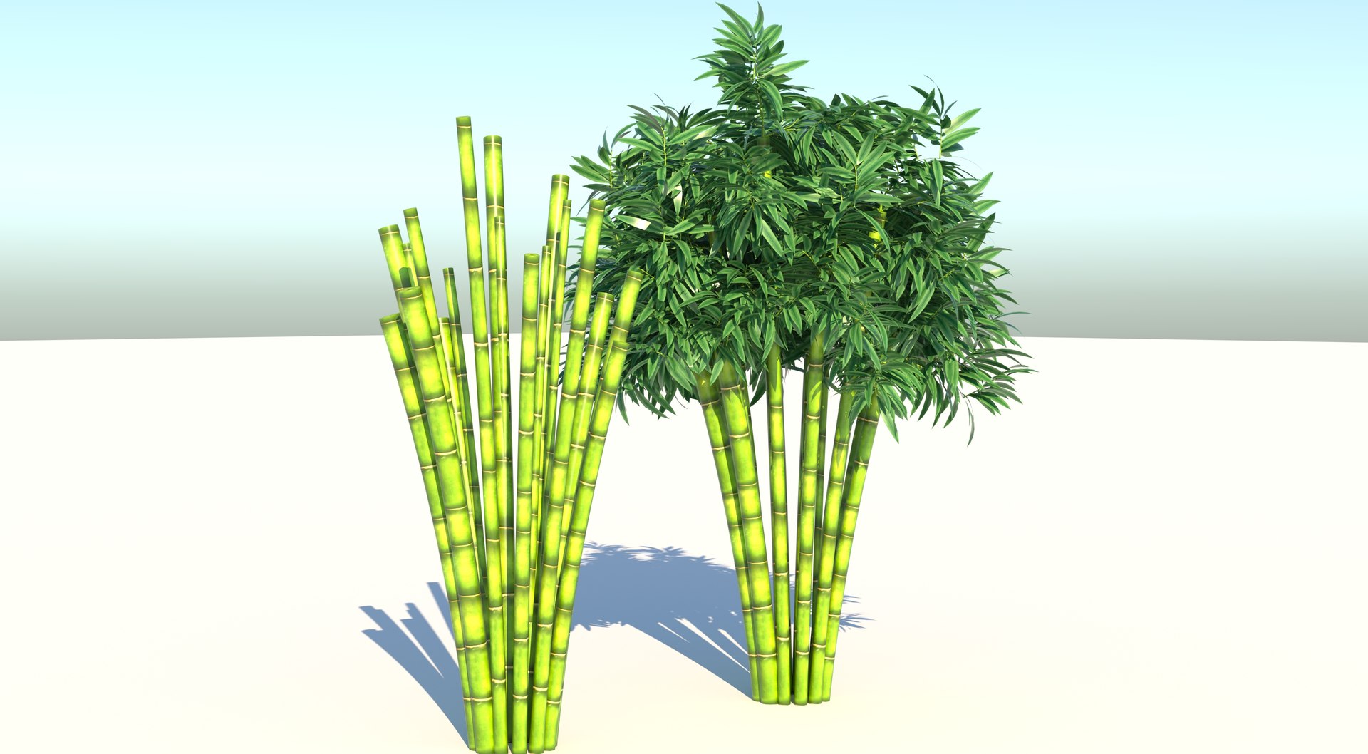 Bamboo 3d Model Turbosquid 1717308