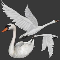 fully rigged two different versions of Swan