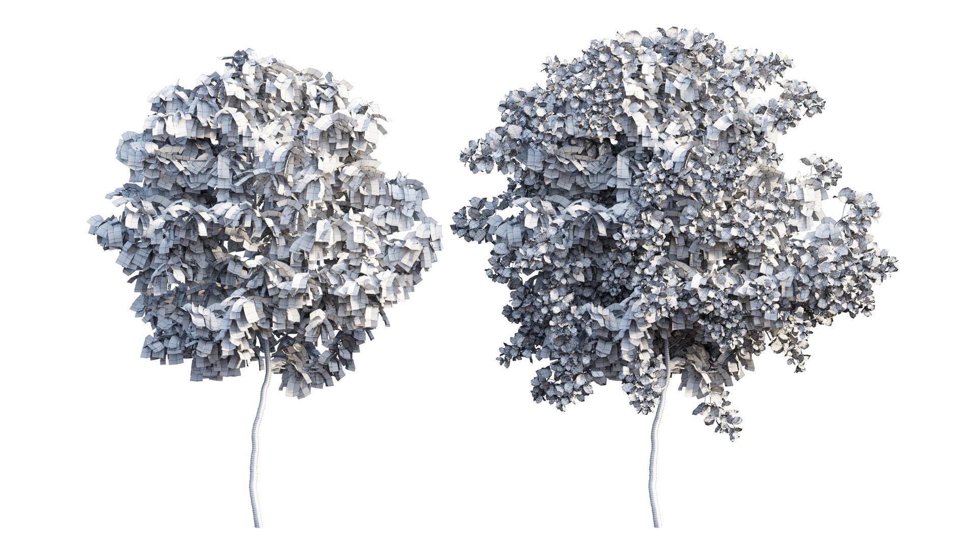 Bougainvillea plant set 56 3D model https://p.turbosquid.com/ts-thumb/51/FAwLcr/rg/4_interactivelightmix/png/1667511351/1920x1080/fit_q87/be916ace61cf65d92977da32b408204e23e7d6da/4_interactivelightmix.jpg