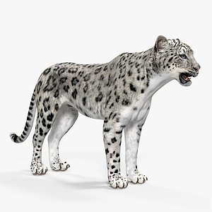 snow leopard model