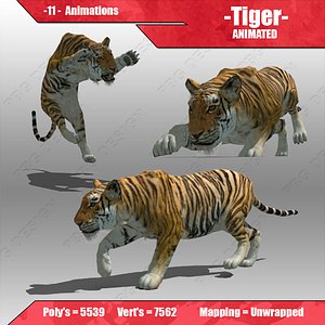 3d model tiger animations