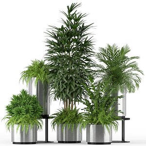 植物206三维模型