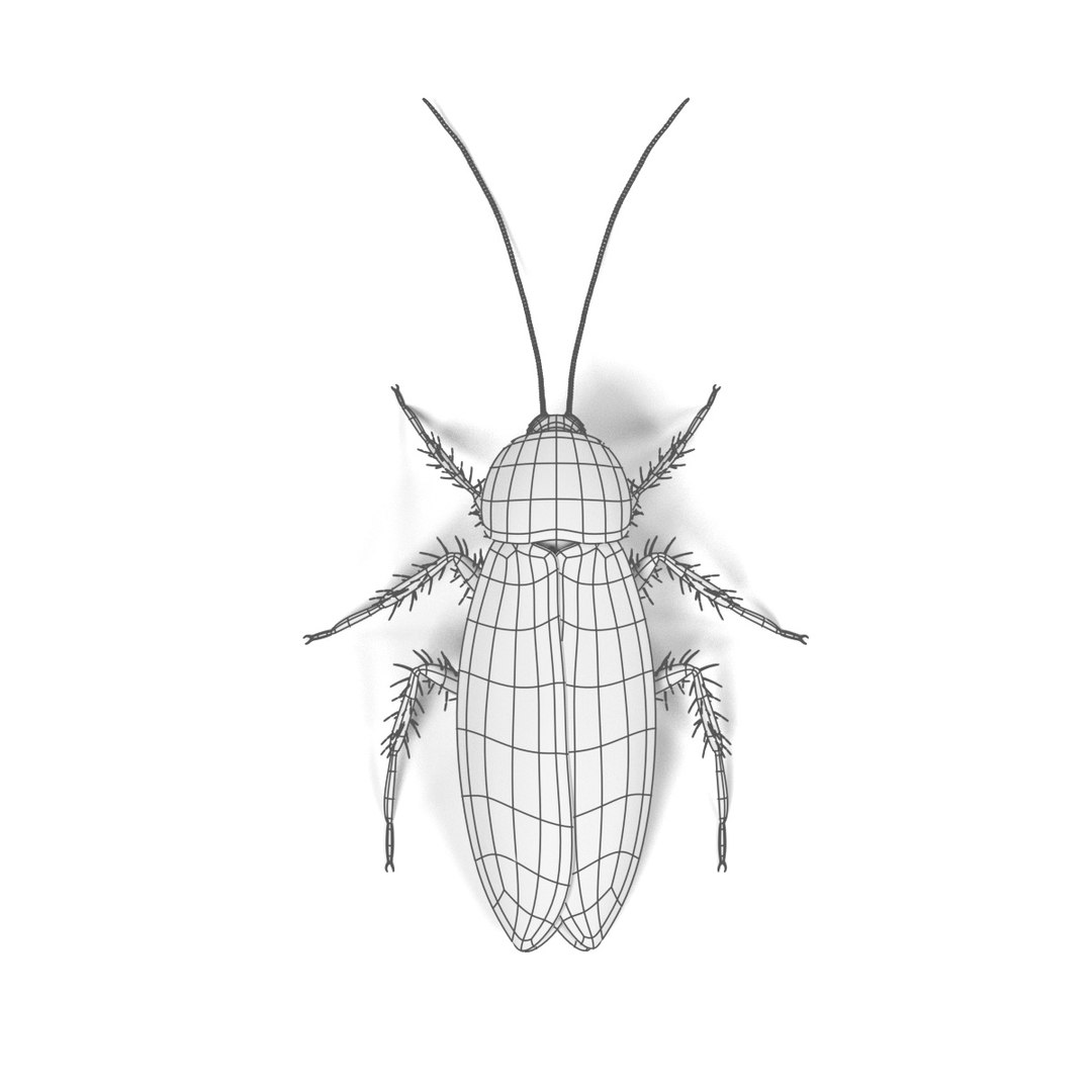 insect bee ant 3d 3ds https://p.turbosquid.com/ts-thumb/52/7ioZrz/5MWelMRr/periplanetaamericanaw/jpg/1490207431/1920x1080/fit_q87/8cd23215ce8857a6f2c65454bd932d1c1445efcc/periplanetaamericanaw.jpg