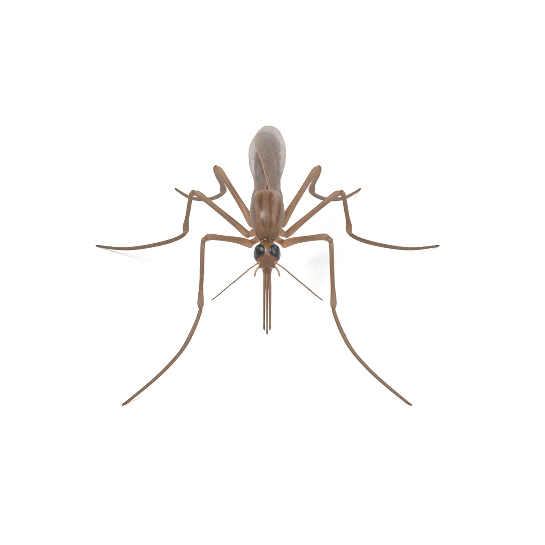 insect bee ant 3d 3ds https://p.turbosquid.com/ts-thumb/52/7ioZrz/5xtCTIvX/0001/jpg/1490198640/1920x1080/turn_fit_q99/2fd1fb551021ab215b240fdc332d4bdc718ec55a/0001-1.jpg