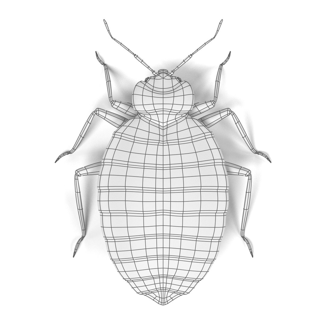 insect bee ant 3d 3ds https://p.turbosquid.com/ts-thumb/52/7ioZrz/88u0SkpQ/bedbugmalew/jpg/1490207430/1920x1080/fit_q87/fc72b4e5145f73d5057fa68922efa4b67ace8ec3/bedbugmalew.jpg