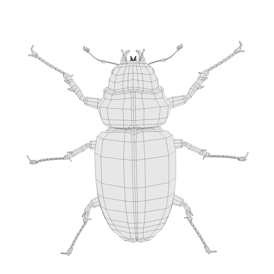 insect bee ant 3d 3ds https://p.turbosquid.com/ts-thumb/52/7ioZrz/9WlthFIg/lucanuscervusfemalew2/jpg/1490207430/1920x1080/fit_q87/ec11735b9081dd2602f507308629597f80090a99/lucanuscervusfemalew2.jpg