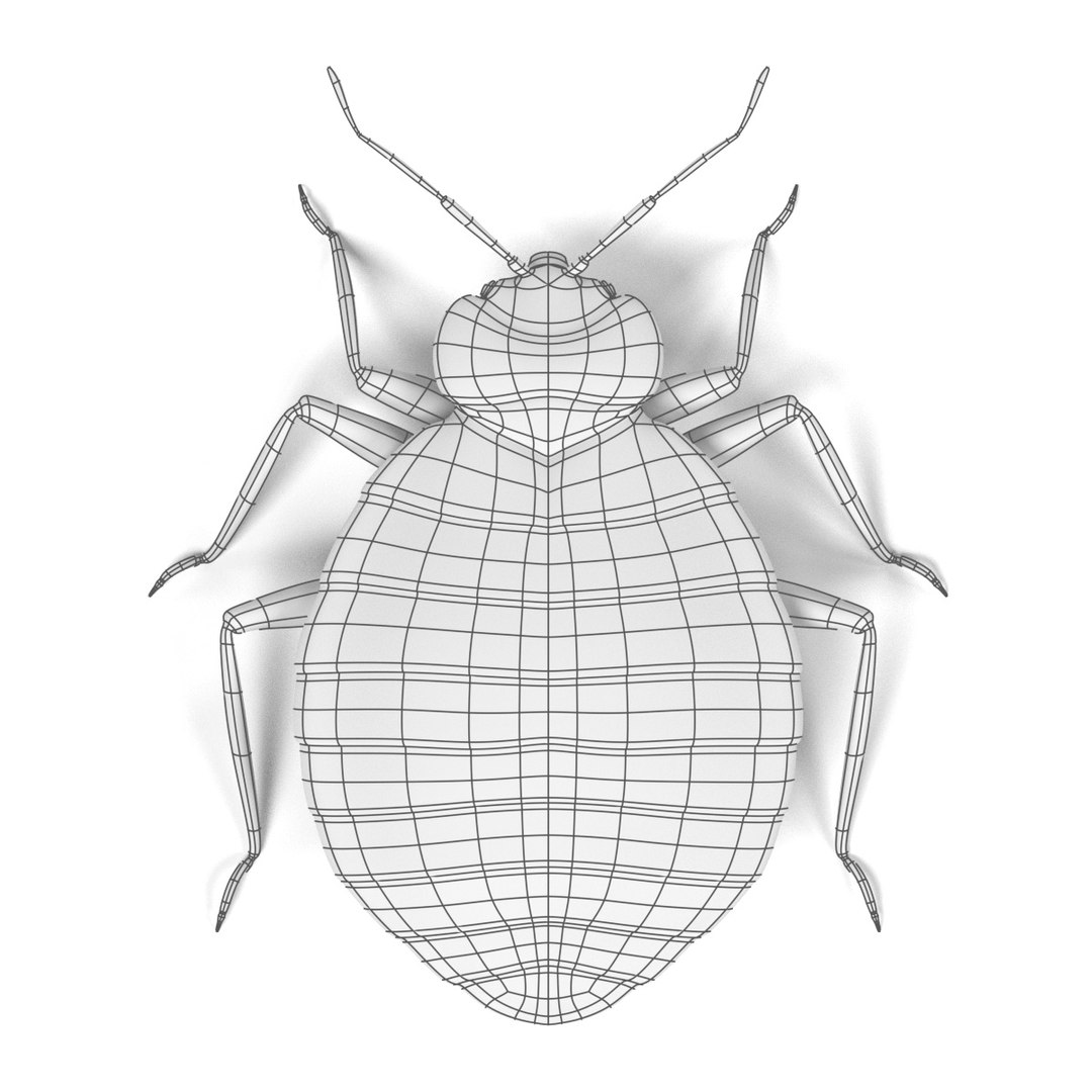 insect bee ant 3d 3ds https://p.turbosquid.com/ts-thumb/52/7ioZrz/Cp86xF2T/bedbugfemalew/jpg/1490207430/1920x1080/fit_q87/e02c7290050a5ac494b0d8cb39a9e5f2bb26a76b/bedbugfemalew.jpg