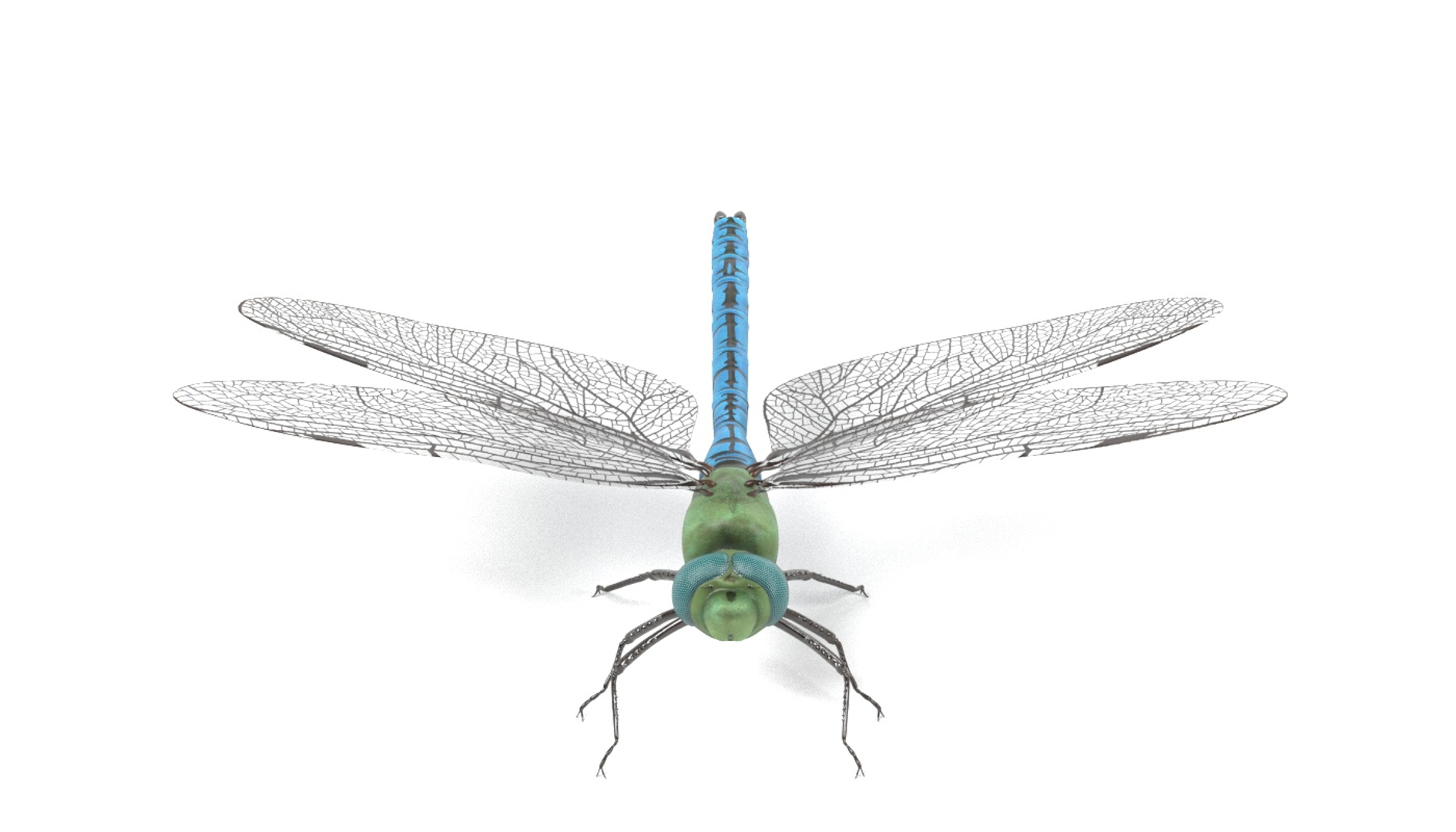 insect bee ant 3d 3ds https://p.turbosquid.com/ts-thumb/52/7ioZrz/DVLQm750/0001/jpg/1490201193/1920x1080/turn_fit_q99/3fef96b4af7800ca6f6310d11b5273cd5c0dbe9c/0001-1.jpg