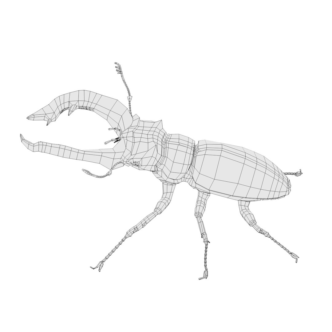 insect bee ant 3d 3ds https://p.turbosquid.com/ts-thumb/52/7ioZrz/Gmv1YBvB/lucanuscervusw/jpg/1490207430/1920x1080/fit_q87/3e8d316ff9eb9acaa995260fae3d51f166ab53f5/lucanuscervusw.jpg
