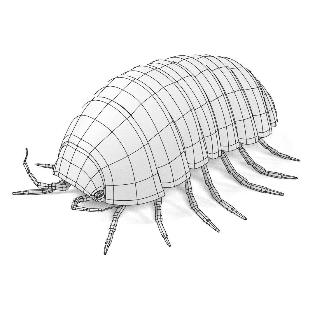insect bee ant 3d 3ds https://p.turbosquid.com/ts-thumb/52/7ioZrz/IxT2Mbbd/armadillidiumvulgarew/jpg/1490207430/1920x1080/fit_q87/29f44f5a2312e4714cd24431aea3abf4a5072c30/armadillidiumvulgarew.jpg