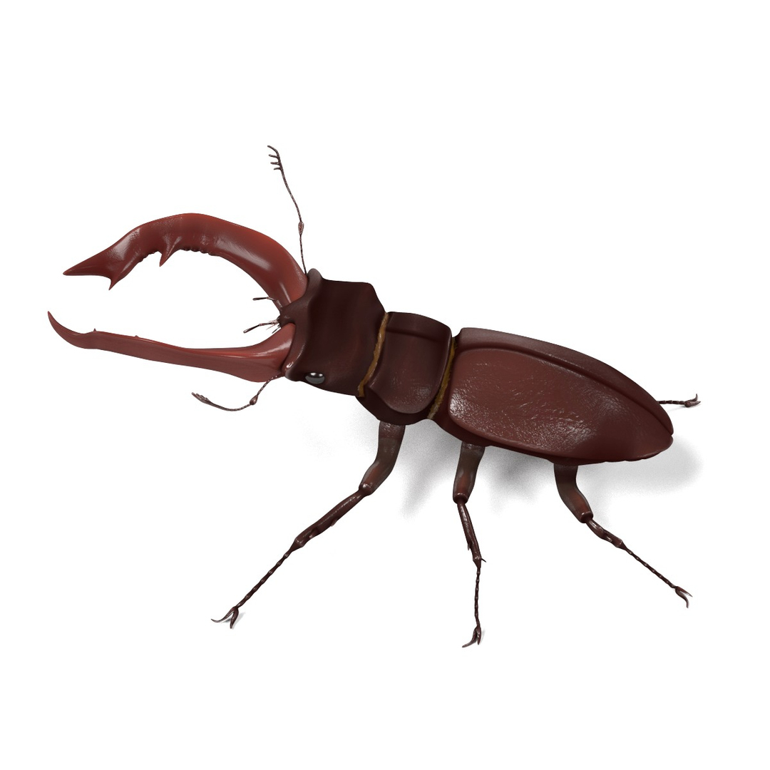 insect bee ant 3d 3ds https://p.turbosquid.com/ts-thumb/52/7ioZrz/KcnUfaCu/0001/jpg/1490196558/1920x1080/turn_fit_q99/1ec2fafc7ddcdafde53bc5cab982a92d0a636343/0001-1.jpg