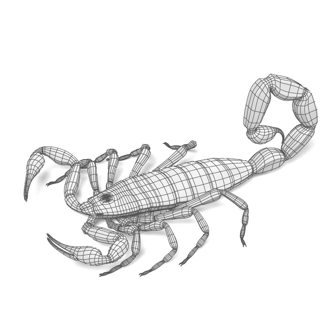 insect bee ant 3d 3ds https://p.turbosquid.com/ts-thumb/52/7ioZrz/NAw9YWgF/centruroidesvittatusw/jpg/1490207430/1920x1080/fit_q87/7609a11d1f57c31914e6f275ffec894dd89be66f/centruroidesvittatusw.jpg