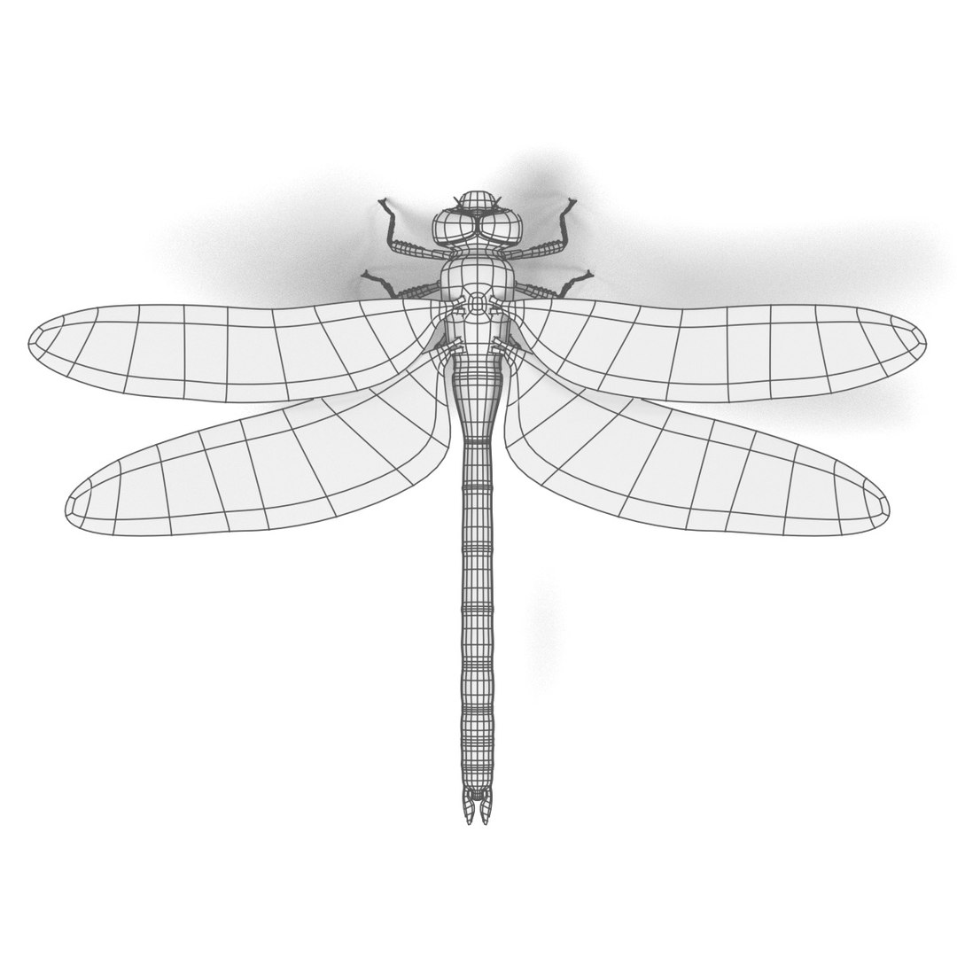 insect bee ant 3d 3ds https://p.turbosquid.com/ts-thumb/52/7ioZrz/PTZ1CFlQ/emperordragonflyw/jpg/1490207430/1920x1080/fit_q87/7ee457645bd250b3c15b5737d52953531db82142/emperordragonflyw.jpg
