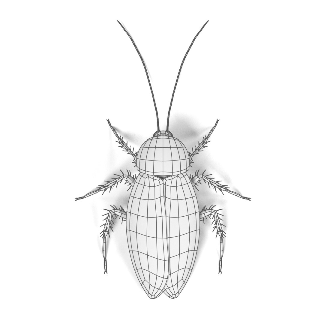 insect bee ant 3d 3ds https://p.turbosquid.com/ts-thumb/52/7ioZrz/QAWX2pQu/periplanetaamericanafw/jpg/1490207430/1920x1080/fit_q87/4ac0acc285c034eab79b34b8778d635e77a4e269/periplanetaamericanafw.jpg