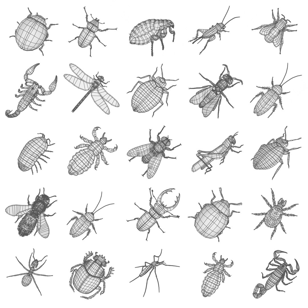 insect bee ant 3d 3ds https://p.turbosquid.com/ts-thumb/52/7ioZrz/XavxU7i1/000insectw/png/1490213553/1920x1080/fit_q87/b8dceaec91798dd851ec2efc30e4199a0a1f7b38/000insectw.jpg