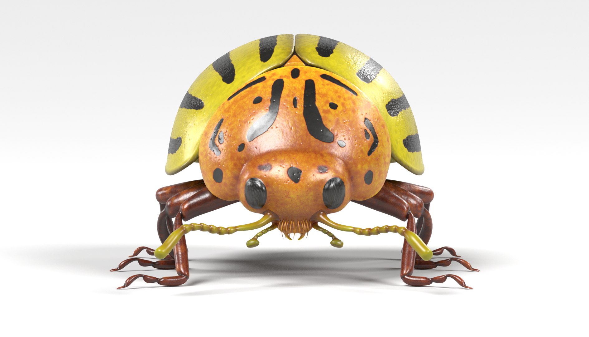insect bee ant 3d 3ds https://p.turbosquid.com/ts-thumb/52/7ioZrz/jNimGnek/potatobeetlec/png/1490207431/1920x1080/fit_q87/8a2c745528e3abb920335ba69262a27e70771d19/potatobeetlec.jpg