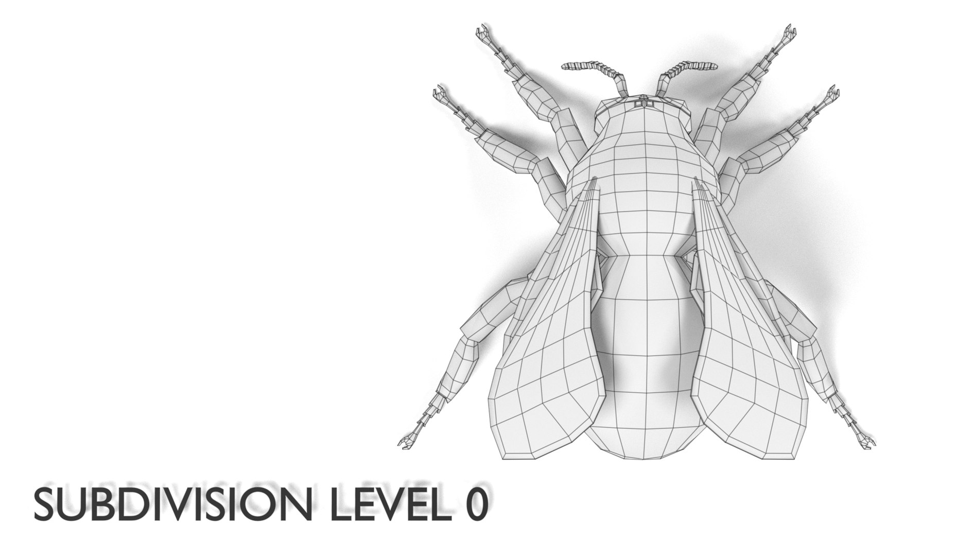 insect bee ant 3d 3ds https://p.turbosquid.com/ts-thumb/52/7ioZrz/mRM54ih7/bombusterrestrisw1/png/1490207430/1920x1080/fit_q87/1bab67bbee4fac5cb016df3d04fc005c242ddd68/bombusterrestrisw1.jpg