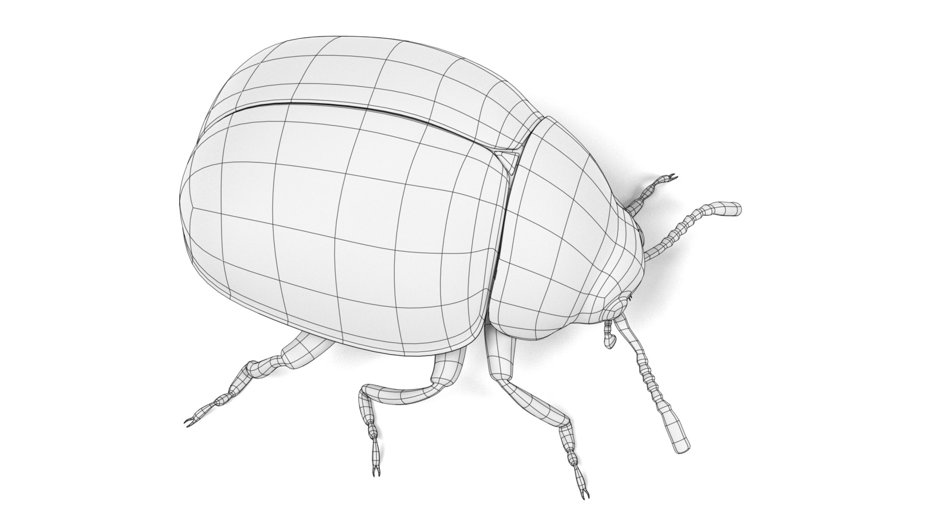 insect bee ant 3d 3ds https://p.turbosquid.com/ts-thumb/52/7ioZrz/qJLXRblG/potatobeetlew3/png/1490207431/1920x1080/fit_q87/c8684c431f3643dd77826803566f4ec6a82397d9/potatobeetlew3.jpg