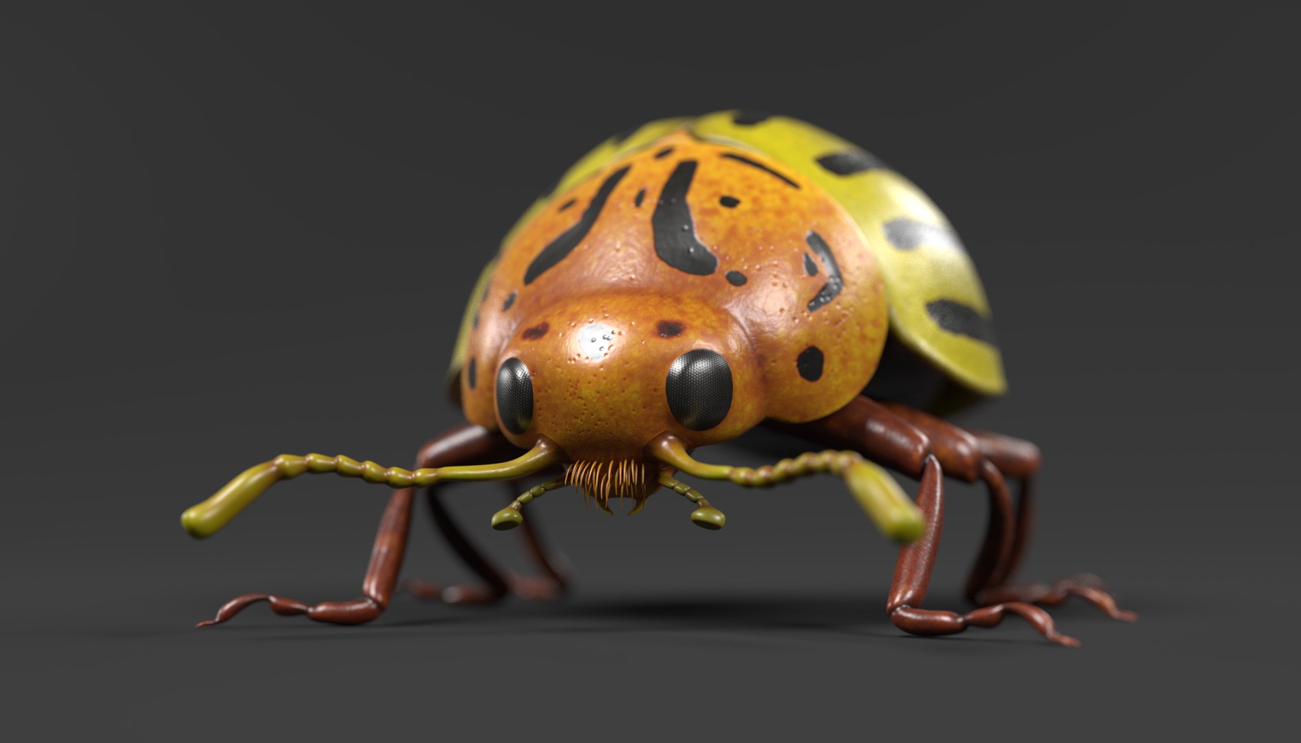 insect bee ant 3d 3ds https://p.turbosquid.com/ts-thumb/52/7ioZrz/sygI71kl/potatobeetlef/png/1490207431/1920x1080/fit_q87/bd4859eb2addd9410a53c0c520b467aa614be56c/potatobeetlef.jpg