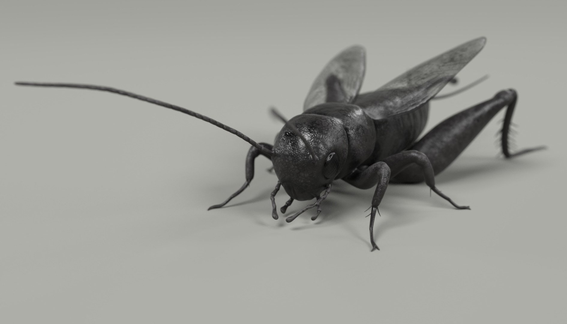 insect bee ant 3d 3ds https://p.turbosquid.com/ts-thumb/52/7ioZrz/tQGdQnE4/fieldcricketab/jpg/1490207430/1920x1080/fit_q87/3f990fa78ed71bc7ac93e70941261ba4c079aba1/fieldcricketab.jpg