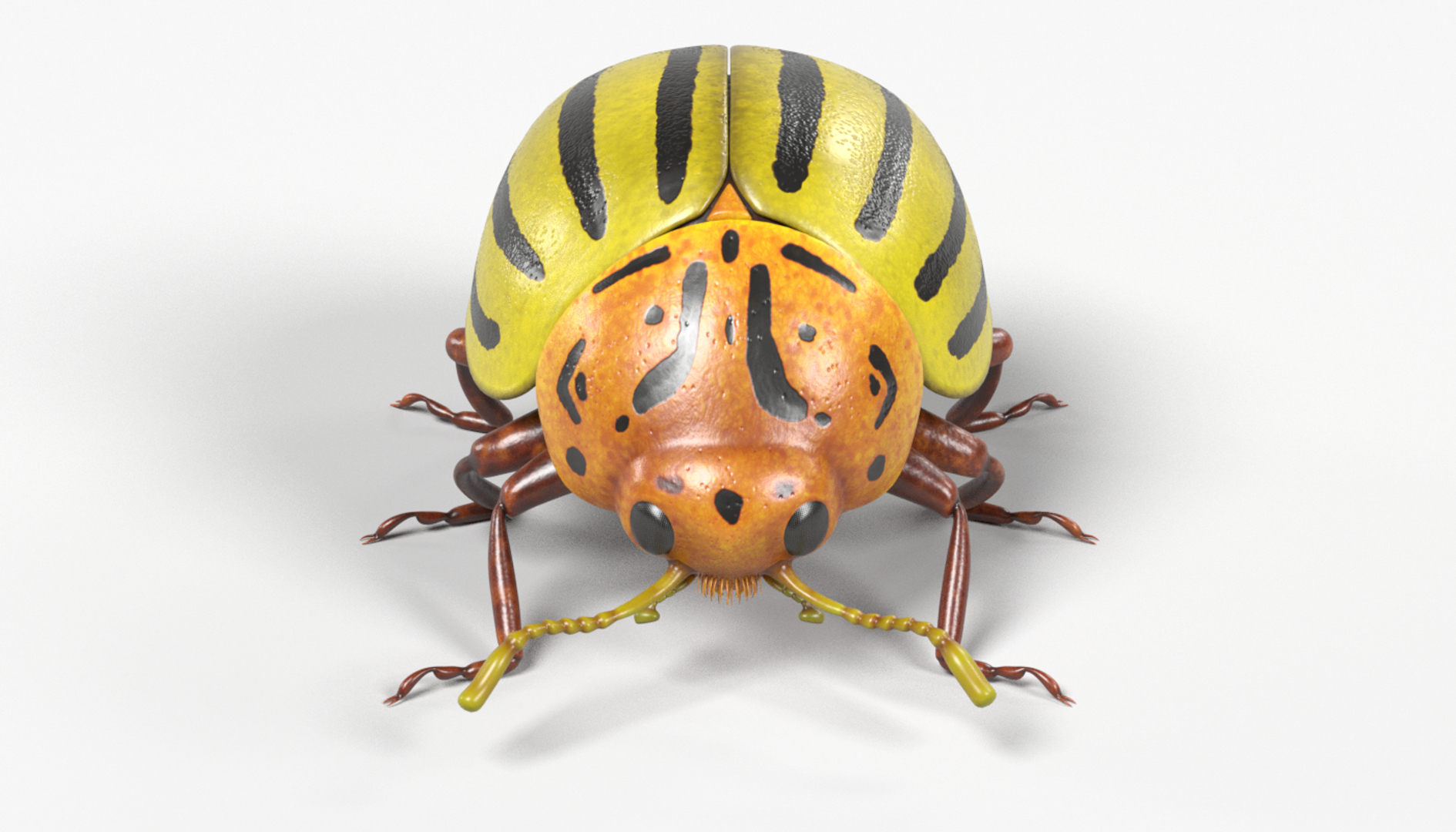 insect bee ant 3d 3ds https://p.turbosquid.com/ts-thumb/52/7ioZrz/vRPSQ57N/0001/png/1490197923/1920x1080/turn_fit_q99/0f4b5b36641ca9cfeb2cd4d0ad02c733731b7ead/0001-1.jpg