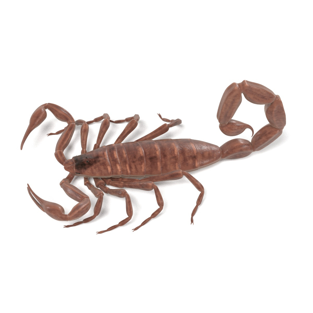 insect bee ant 3d 3ds https://p.turbosquid.com/ts-thumb/52/7ioZrz/xJtieRlg/0001/jpg/1490204039/1920x1080/turn_fit_q99/f779680ad76d651b57191cd35061ef19ef22c95e/0001-1.jpg