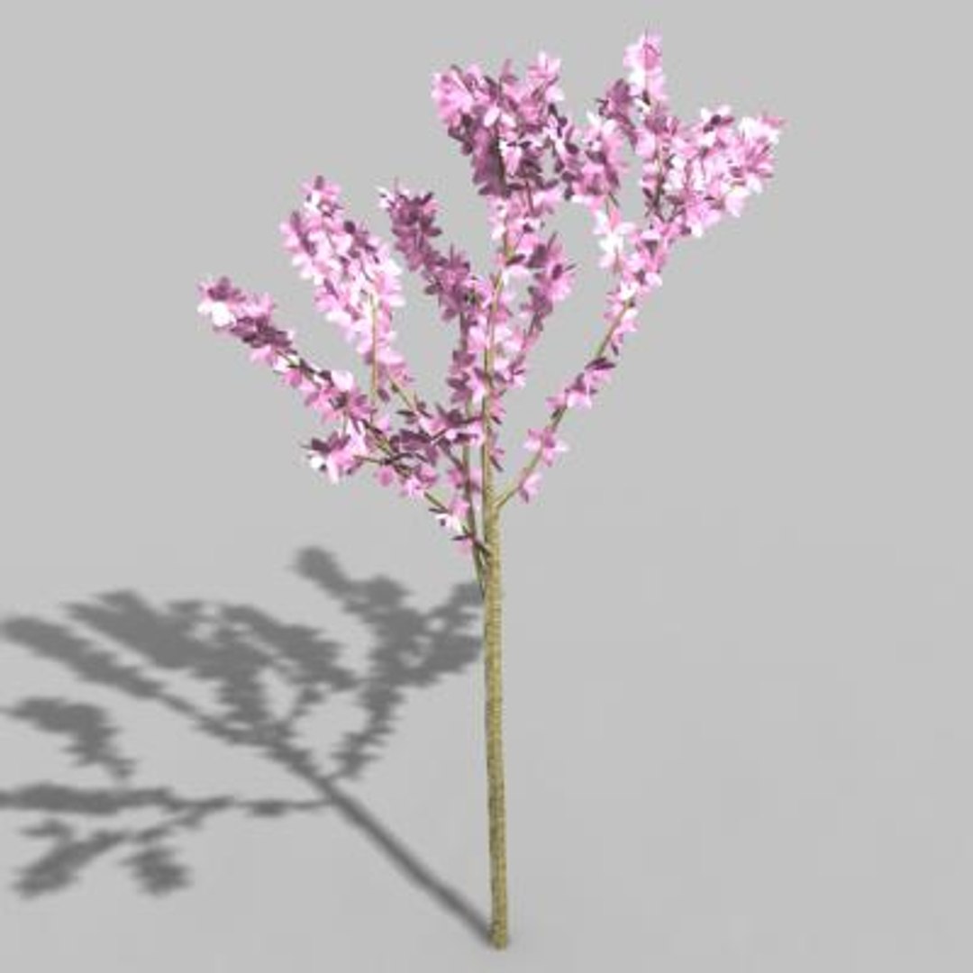 small tree max