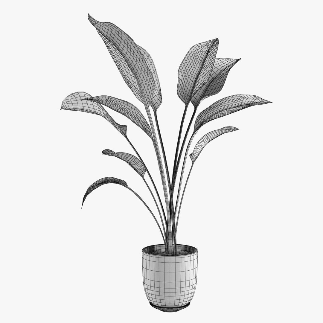 3D Plant Pot Model - TurboSquid 1251833