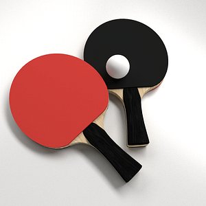 Table Tennis Set